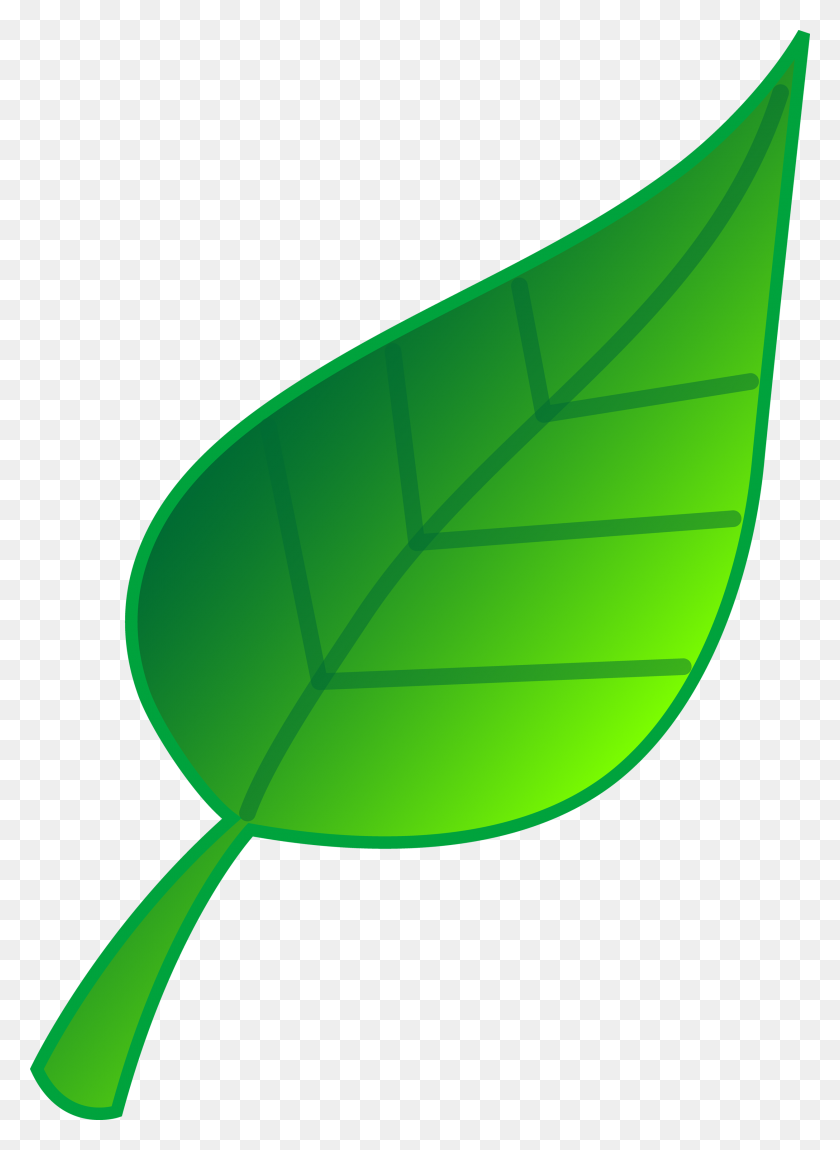 2504x3500 Free Leaves Clipart Free Clipart Images Graphics Animated Image - Roblox Clipart