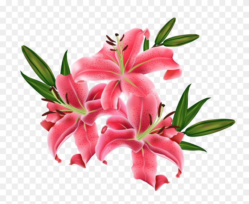 4542x3665 Free Lily Clip Art Pictures - Water Lily PNG