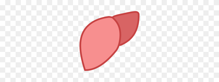 256x256 Free Liver Icon Download Png, Formats - Liver PNG