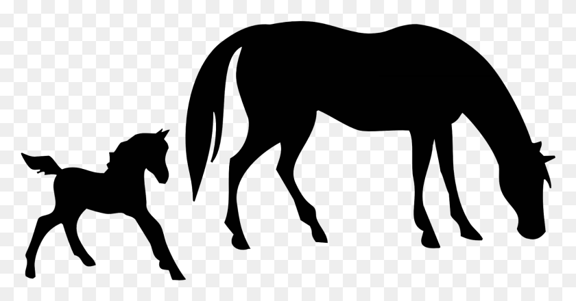 1601x781 Free Mare And Foal Horse Clipart - Horse Silhouette Clip Art
