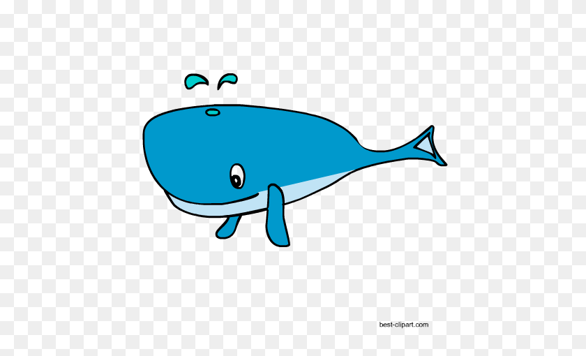 450x450 Free Marine Animals, Ocean Animals Or Under Water Animals Clip Art - Shark Images Clipart