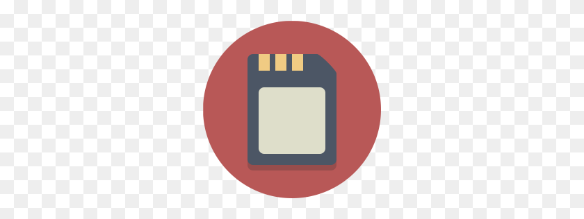 256x256 Free Memory Card Icon Download Png - Memory PNG