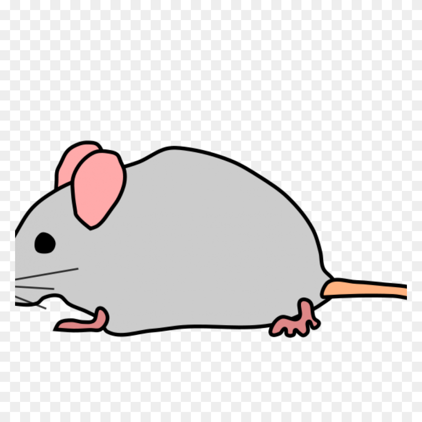 1024x1024 Free Mouse Clipart Free Clipart Download - Mouse Clipart PNG