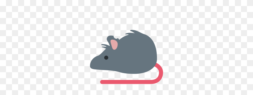 256x256 Ratón, Rata, Prueba, Animal, Ciencia Icono Descargar Png - Rata Png