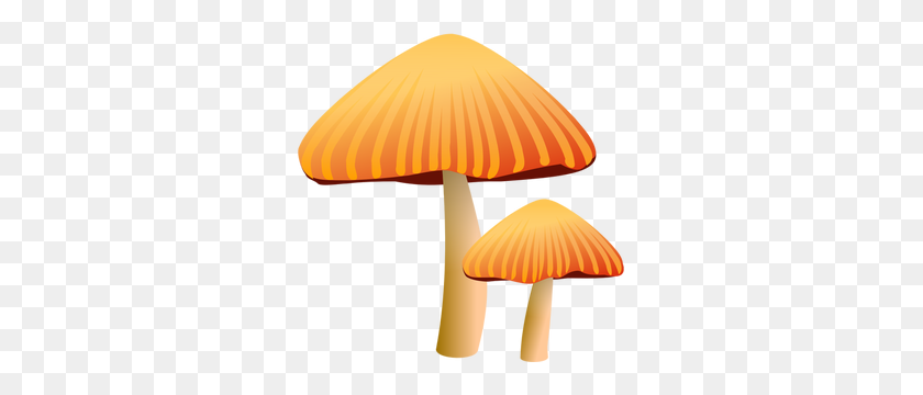 297x300 Free Mushroom Vector - Mushrooms PNG