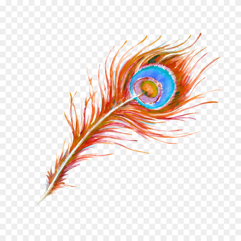 1024x1024 Free Painting Peacock Feathers Png, Vector, Background Download - Peacock Feather PNG