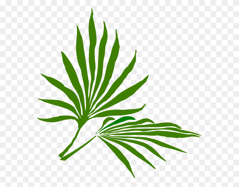 582x596 Free Palm Sunday Clipart Pictures - Road To Success Clipart