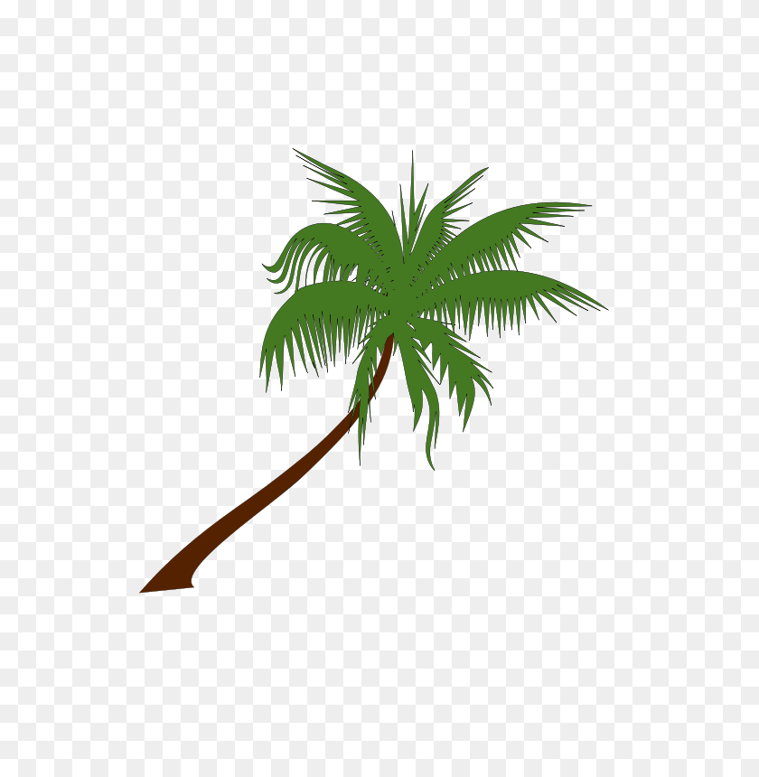 566x800 Free Palm Tree Png, Vector, Free Download On Heypik - Desert Tree Png