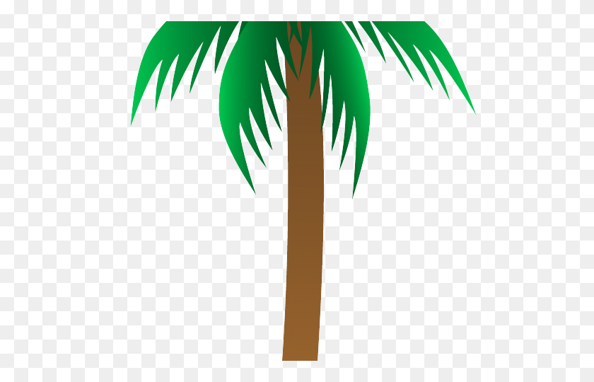 640x480 Free Palm Tree Vector - Palm Tree Vector PNG