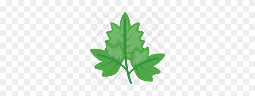 256x256 Free Parsley Icon Download Png - Parsley PNG