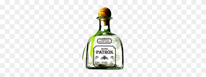 168x257 Free Patron Vector Graphic - Patron PNG