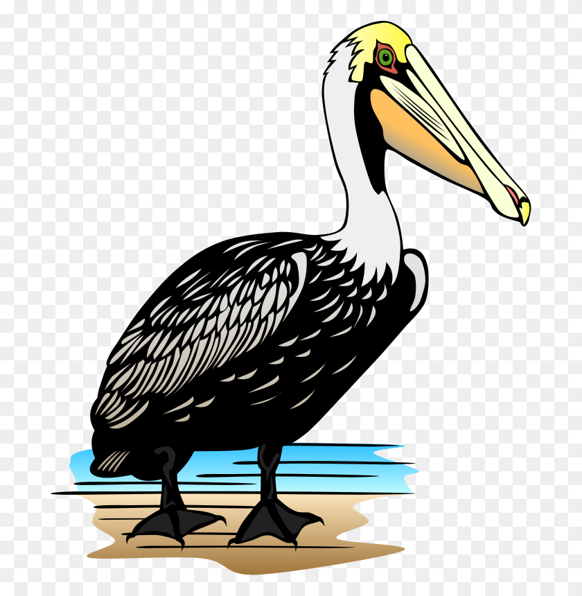 694x800 Free Pelican Clip Art - Guinness Clipart