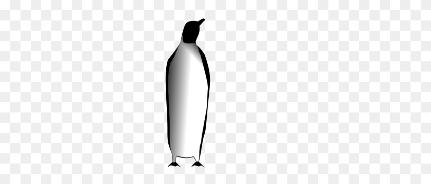 212x300 Pingüino Emperador Png