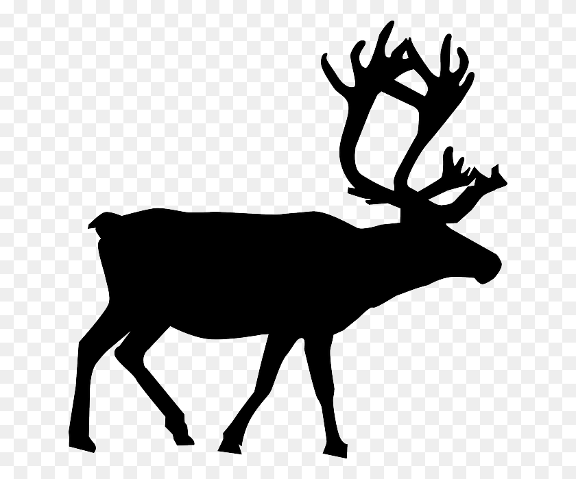 640x639 Бесплатные Фото Животных Северный Олень Силуэт Рождественского Полюса - Силуэт Головы Оленя В Png