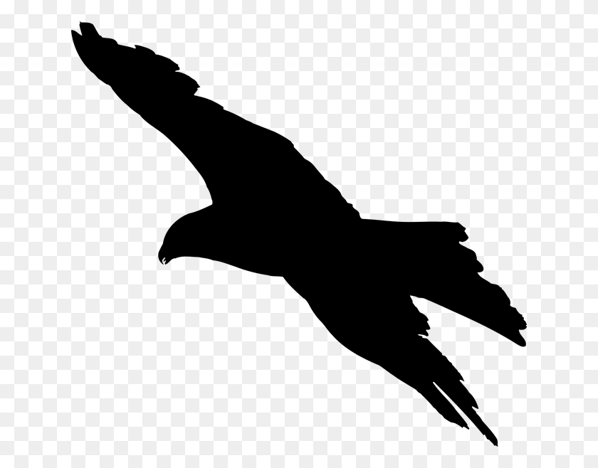 640x598 Foto Gratuita De Diseño De Signo De Pájaro, Silueta De Animal, Símbolo De Águila - Silueta De Águila Png