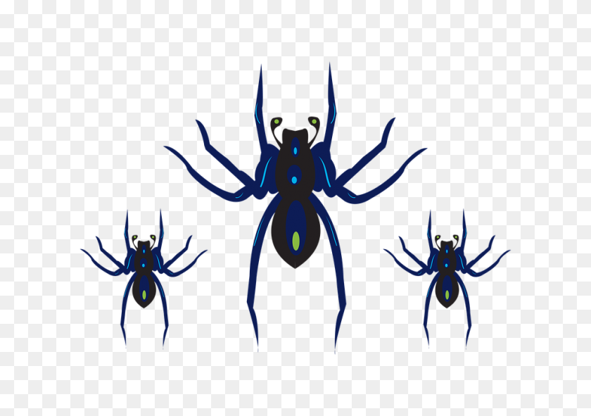 960x654 Free Photo Black Horror Halloween Spider Scary Clipart - Horror PNG