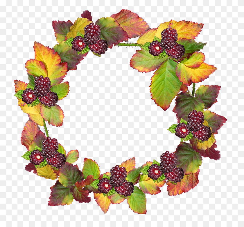 771x720 Free Photo Border Autumn Frame Fall Leaves Berries Wreath - Fall Leaves Border PNG