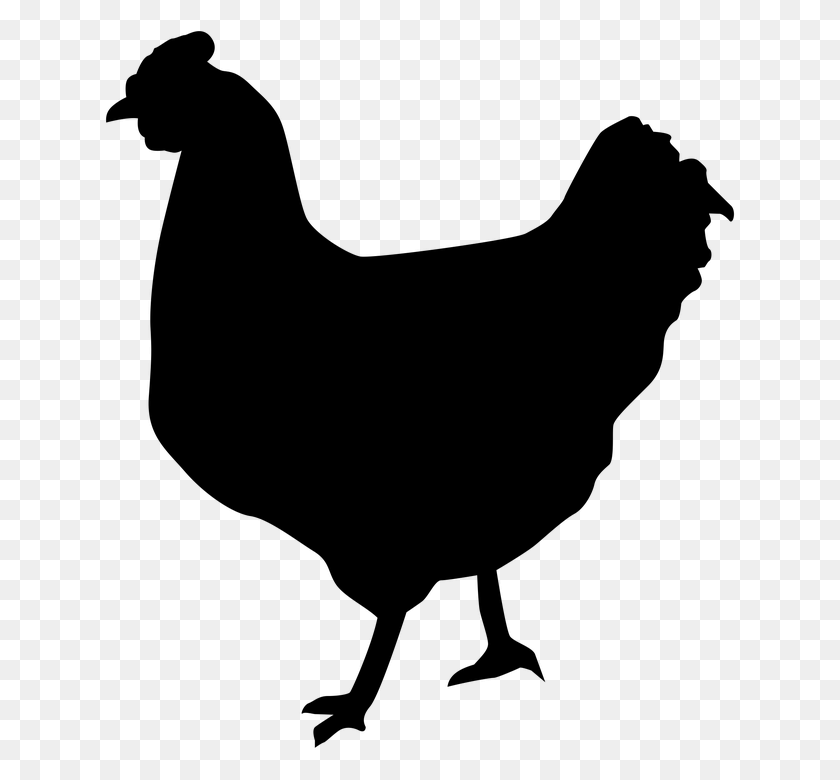 630x720 Free Photo Chicken Symbol Icon Farm Design Meat Animal Cock - Chickens PNG