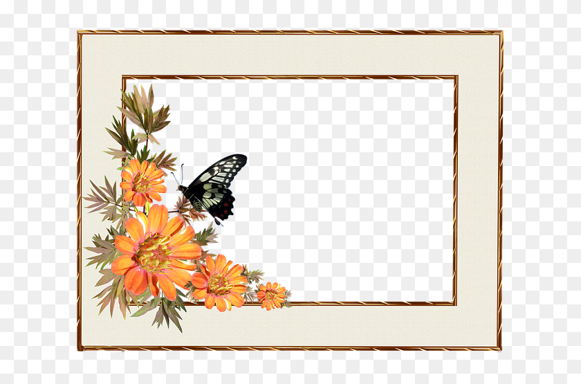 640x495 Бесплатная Фото Декоративная Бордюр Цветы Рамка Бабочка - Декоративная Бордюр Png