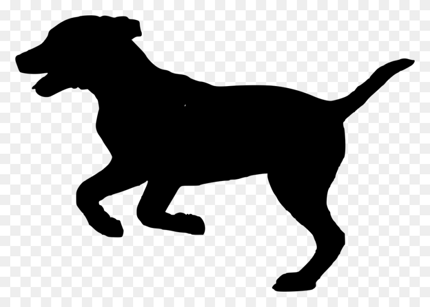 960x664 Free Photo Dog House Pet Animal Run Dog Doggy Silhouette - Dog House PNG