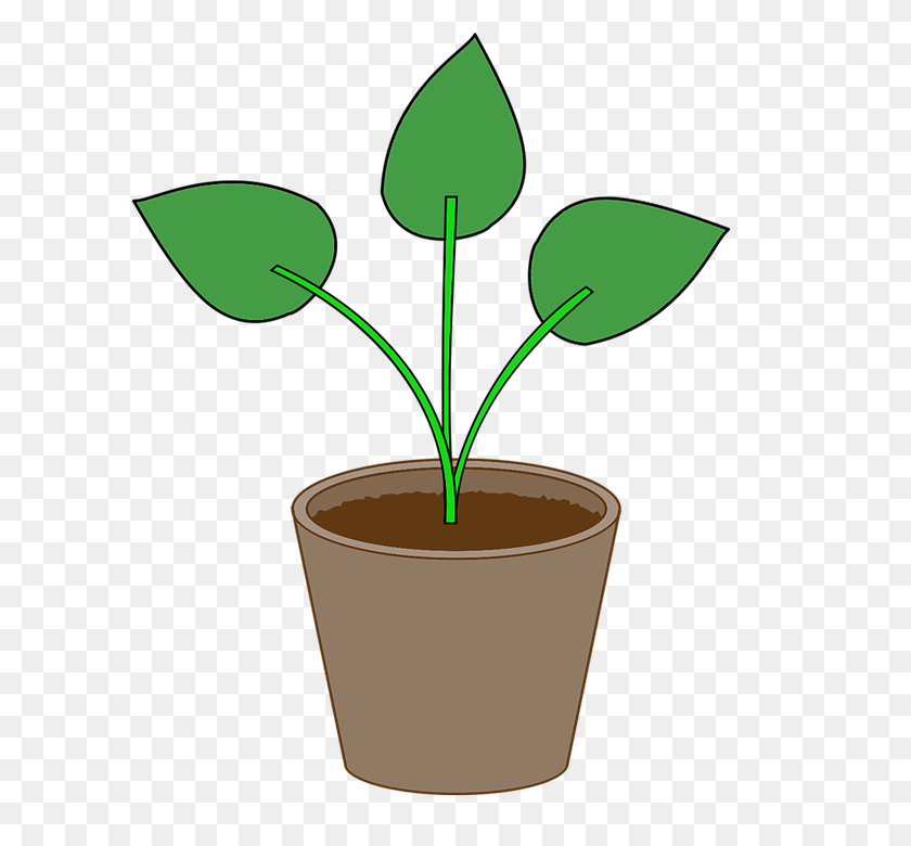 720x720 Free Photo Flowerpot Gardening Leaf Pot Houseplant Plant - House Plant PNG