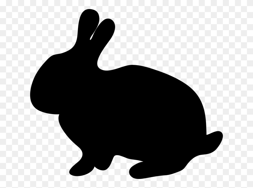 640x563 Бесплатные Фото Цветы Пасхи Счастливый Кролик Праздники Весна - Пасхальный Заяц Png