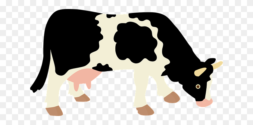 640x356 Free Photo Head Farm Cattle Cow Animal - Dairy Cow Clip Art