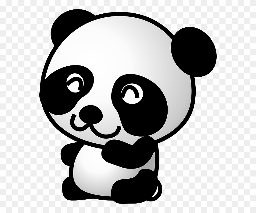 582x640 Бесплатные Фотографии Медведя Панда Черный Животное Милый Белый - Енот Клипарт Черный И Белый