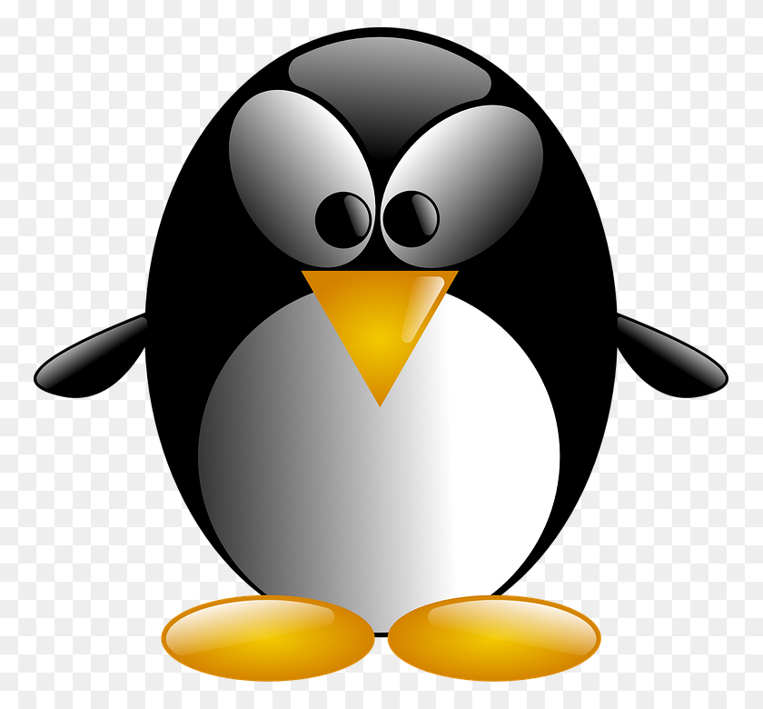 765x720 Бесплатные Фотографии Пингвин Белые Стоящие Желтые Птицы Черные Водные - Пингвин Черно-Белый Клипарт