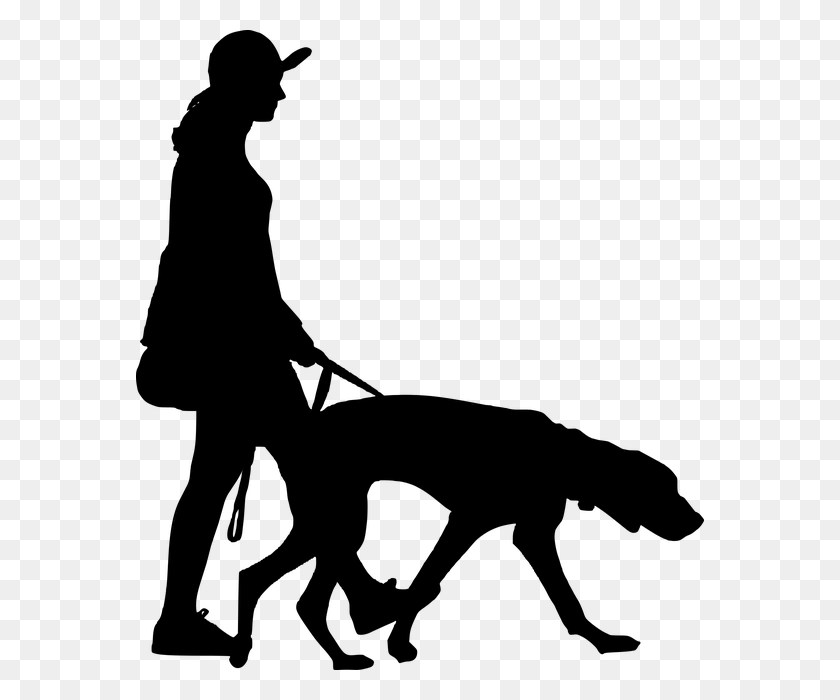 568x640 Бесплатные Фото Люди Собака Женский Силуэт Полная Ходьба - Люди Идущие Силуэт Png