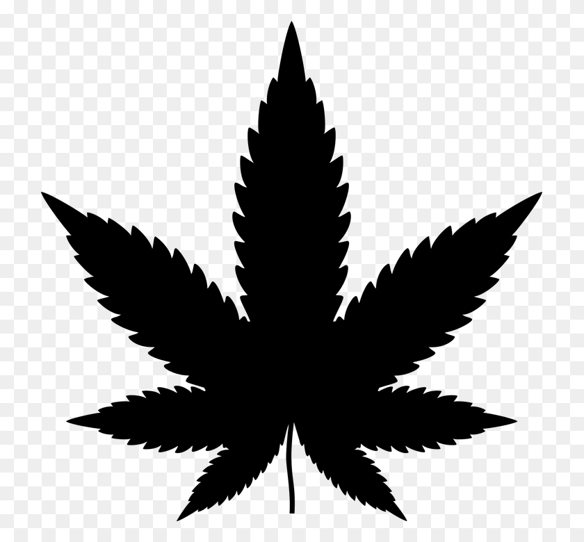 721x720 Foto Libre De La Planta De Cannabis Marihuana Drogas De La Hoja De Drogas De Cáñamo - Drogas Png