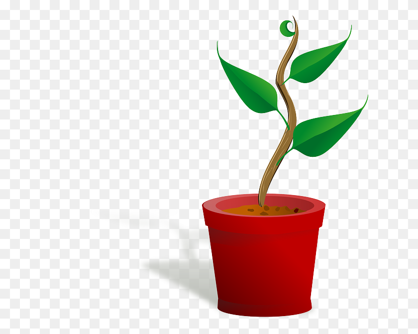640x611 Бесплатные Фото Растение Зеленые Устойчивость К Растрескиванию Листья Выживают - Текстура Трещин Png