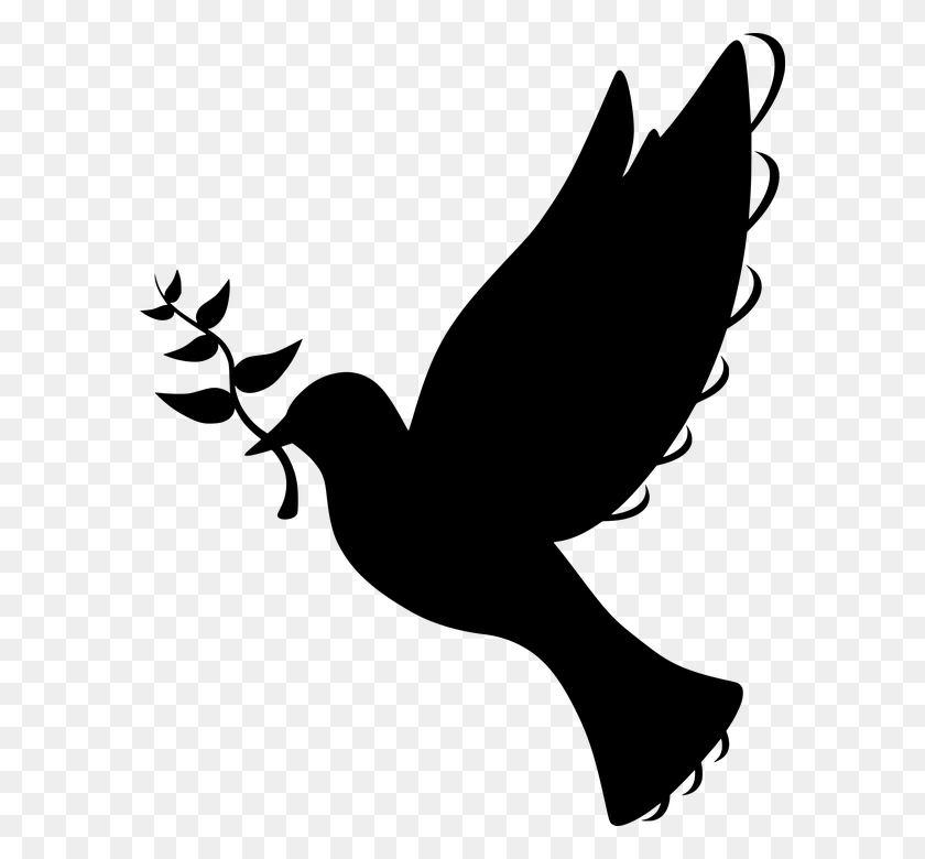 586x720 Free Photo Silhouette Symbol Flying Olive Branch Peace Dove - Dove Logo PNG