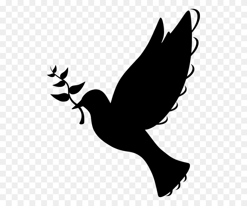 521x640 Free Photo Silhouette Symbol Flying Olive Branch Peace Dove - Doves Flying PNG