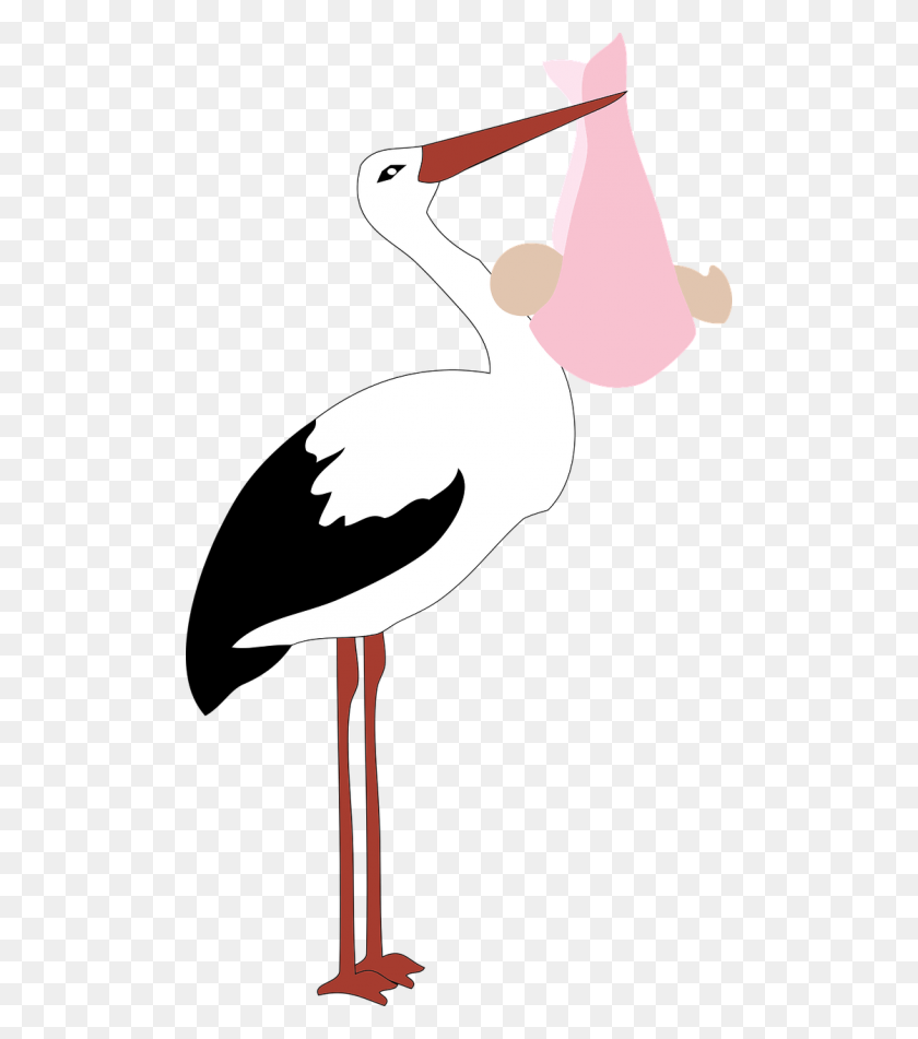 500x891 Free Photos Baby Girl And Stork Search, Download - Clipart Stork Carrying Baby