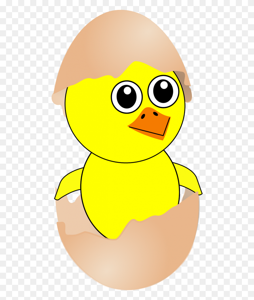 500x930 Free Photos Hatching Chick Illustration Search, Download - Chick Hatching Clipart