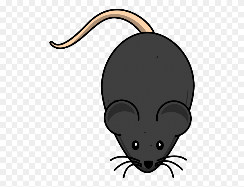 500x582 Бесплатные Фото Long Tail Mice Search, Download - Mouse Hole Clipart