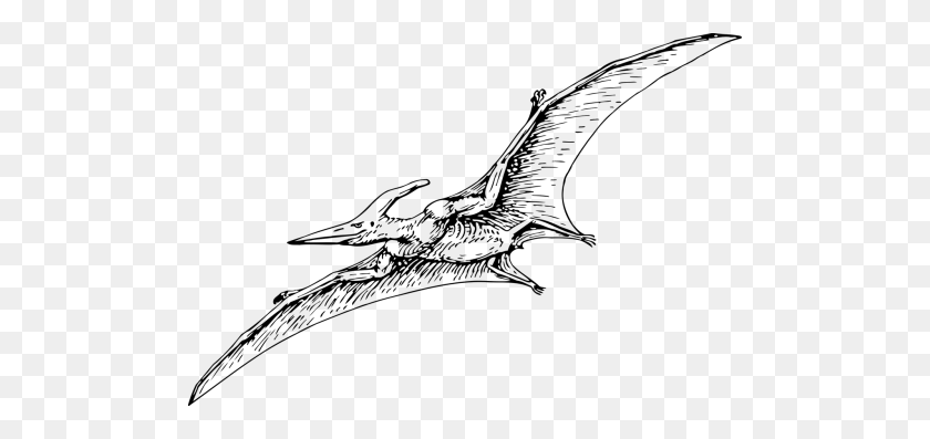 500x337 Free Photos Pterodactyl Search, Download - Pterodactyl PNG