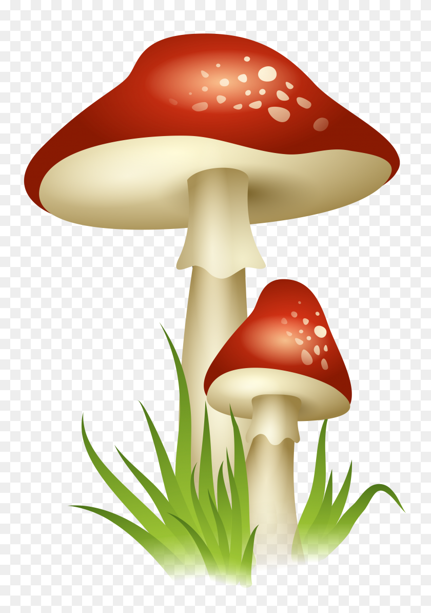3599x5234 Free Pictures In Stuffed Mushrooms - Fungi Clipart