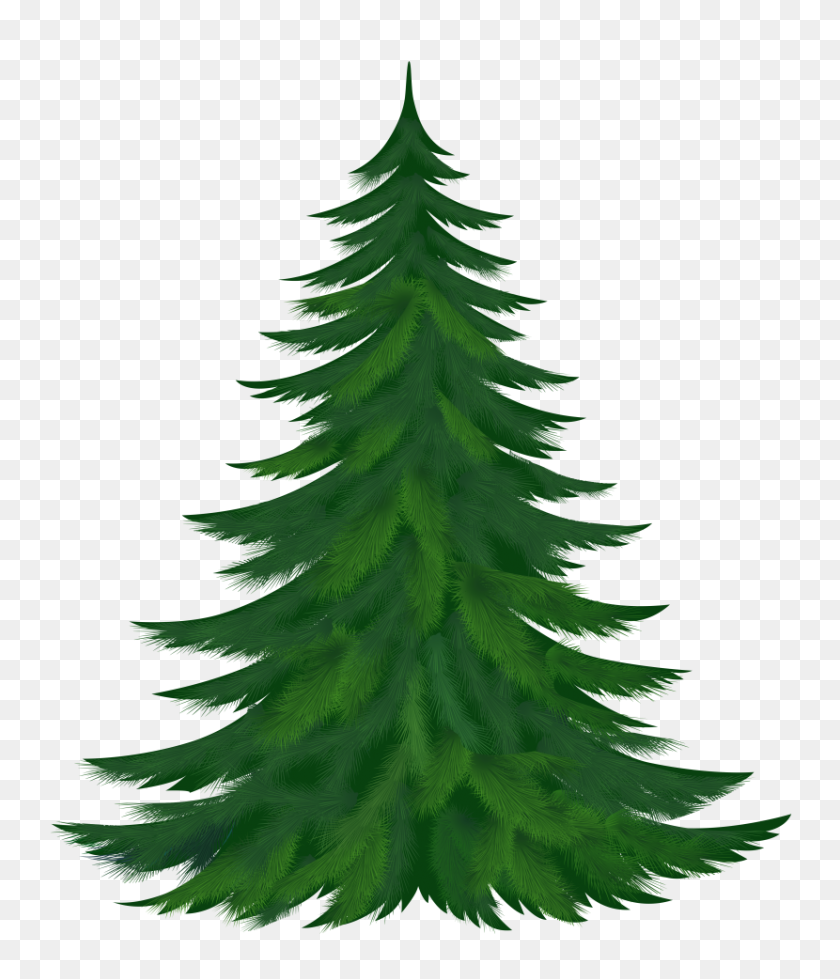 830x978 Free Pine Tree Clip Art Pictures Clipartix - Free Tree Clipart