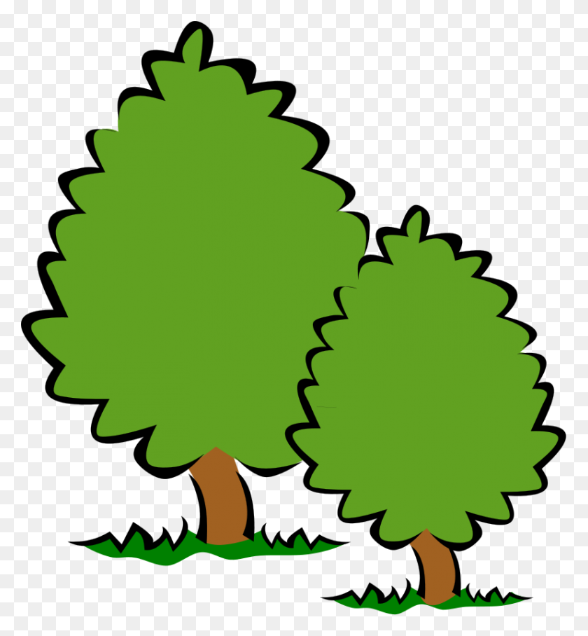 827x900 Free Pine Tree Clipart - Eucalyptus Tree Clipart