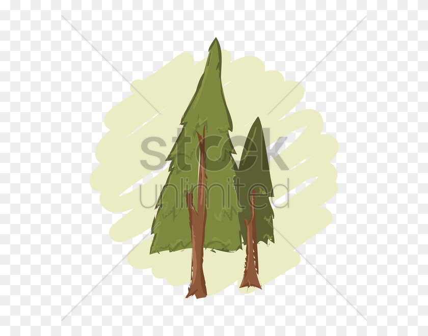 600x600 Free Pine Tree Vector Image - Pine Tree Branch PNG