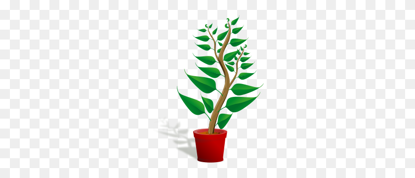 228x300 Free Plant Clipart Png, Plant Icons - Cotton Plant Clipart