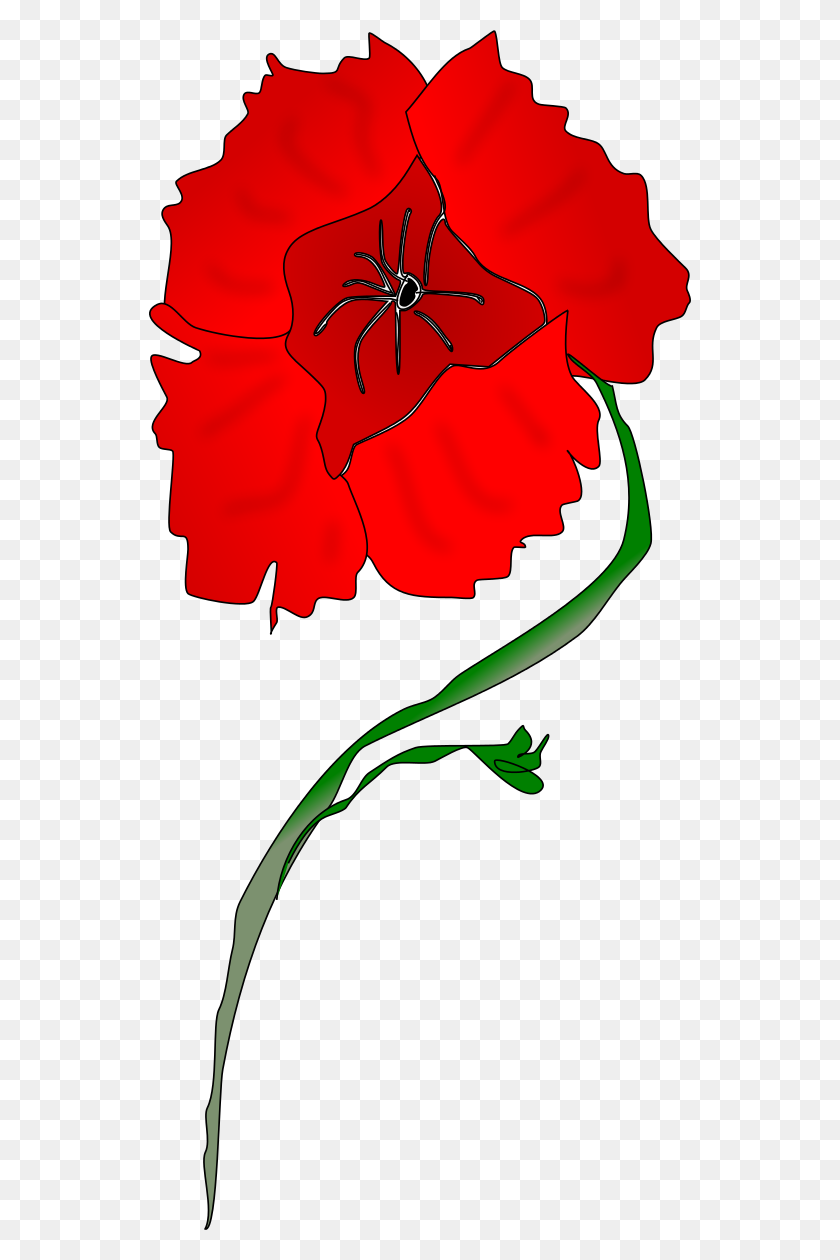 542x1200 Free Poppy Flower Cliparts - Flower Clipart Transparent Background