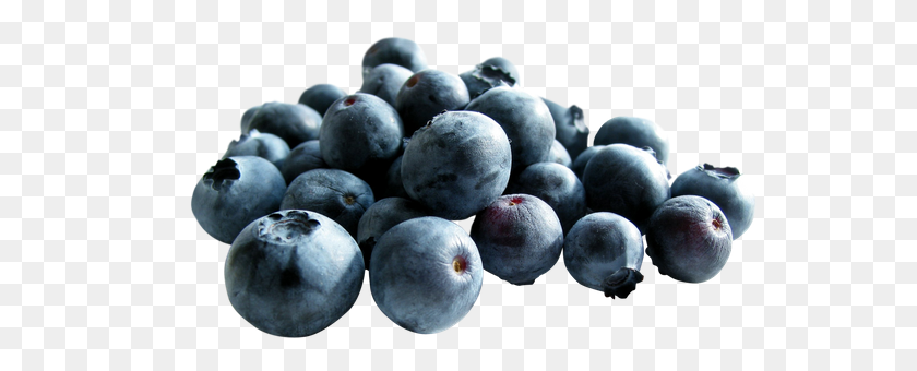550x280 Free Premium Blueberry Stock Photos - Blueberries PNG