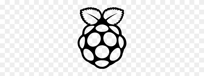 256x256 Free Raspberry Pi Icon Download Png - Pi PNG