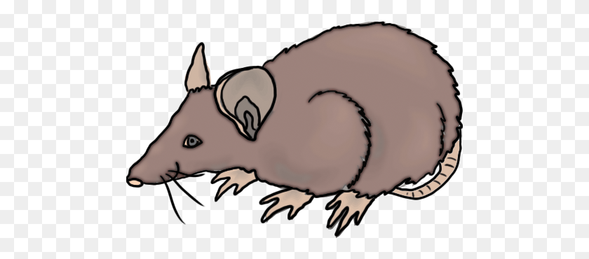 480x310 Free Rat Clipart - Cute Rat Clipart