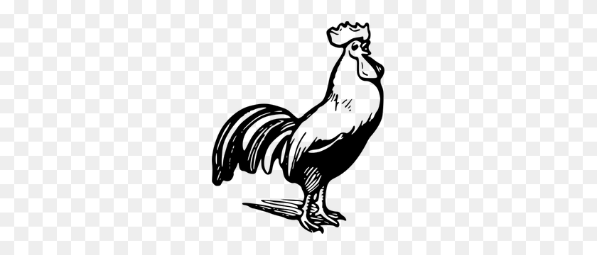 243x300 Free Rooster Vector - Rooster Weathervane Clipart
