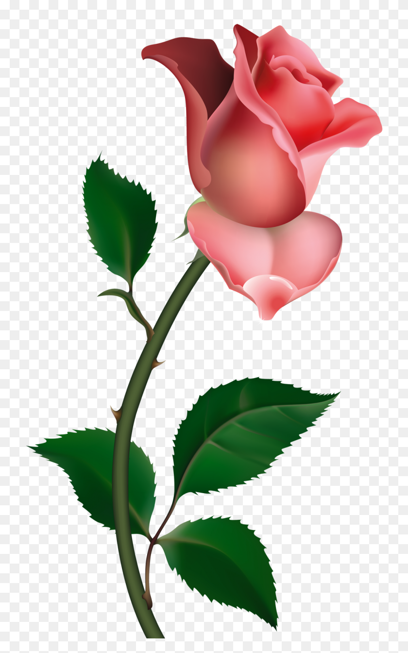 1080x1778 Free Rose Clipart - Simple Rose Clipart
