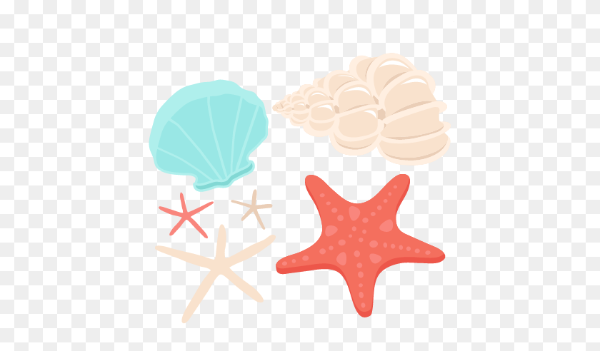 432x432 Free Seashell Clipart Pictures - Sea Clipart Black And White